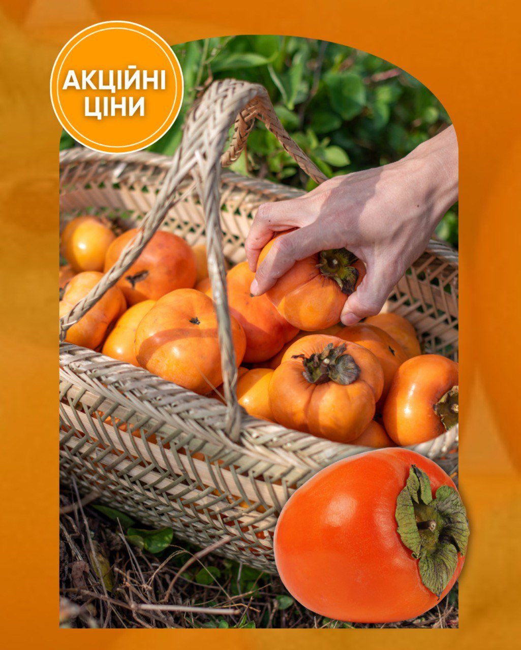 Корольок- найвідоміший та дуже солодкий сорт хурми!